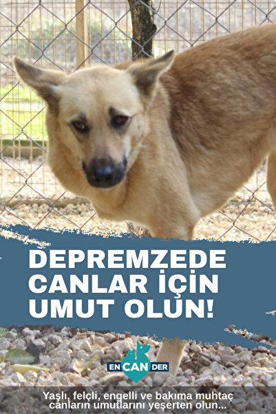 ENCANDER CANLARIN GELECEĞİNE UMUT OLUN!