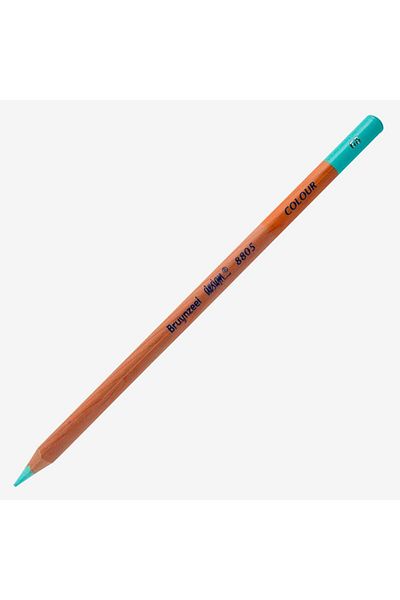 Bruynzeel Desıng Color Dry Paint Pen - Ice Green - B880568k
