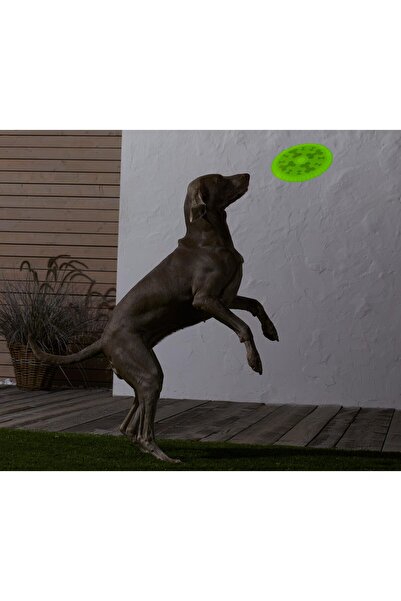 Tchibo Köpek Frizbisi