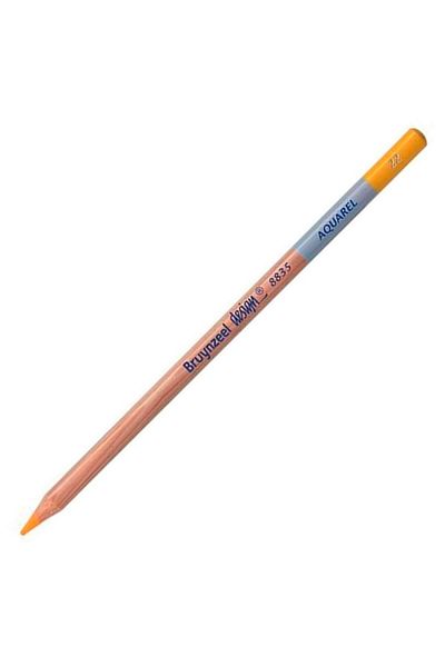 Bruynzeel Design Dark Yellow Colored Pencil 883522K