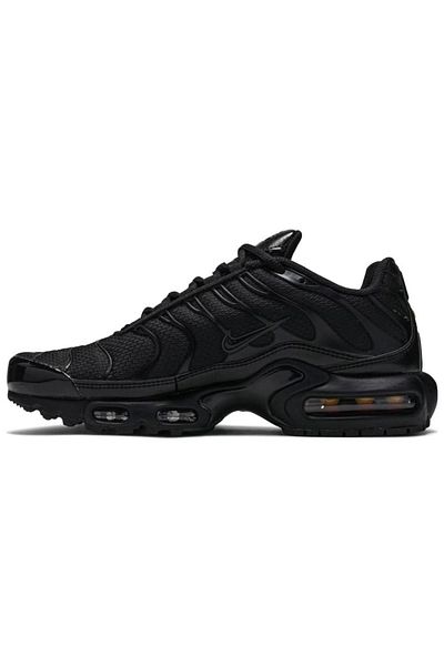 Nike Air Max Plus 'Aquarius Sneakers Sports Shoes