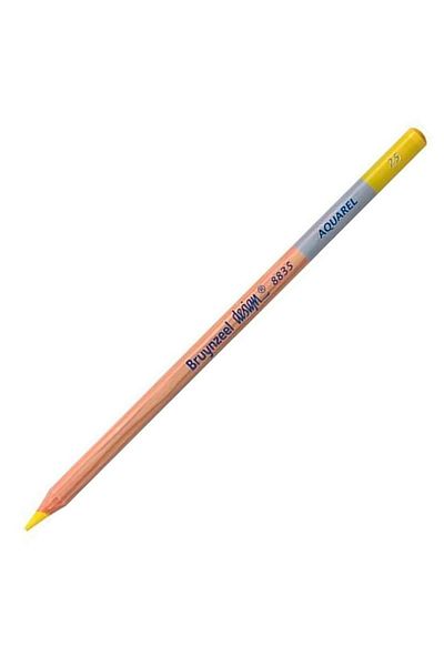 Bruynzeel Design Lemon Yellow Colored Pencil 883525K