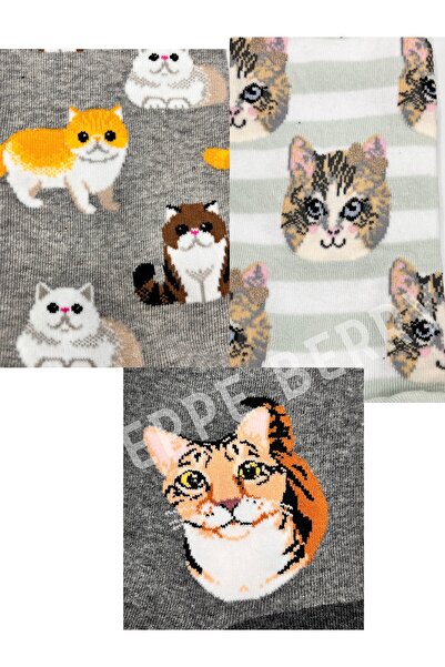 STEPPE BERRY 3 Pairs Cat Concept Boxed Socks Set