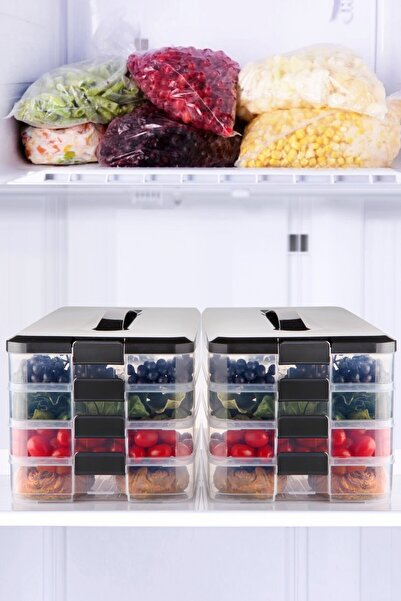 Nandy Home Set of 4 Multi-Purpose Picnic, Camping, Travel Storage Container