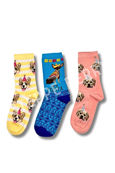 STEPPE BERRY 3 пари шкарпеток з кольоровою коробкою «Концепція двох собак»