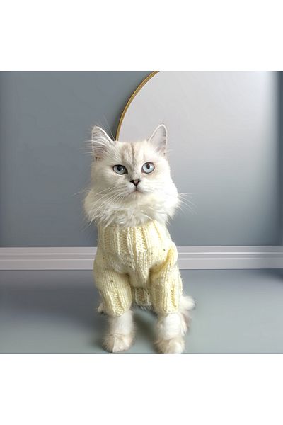 Lady Fify Luminous Cream Color Sweater for Cat and Dog