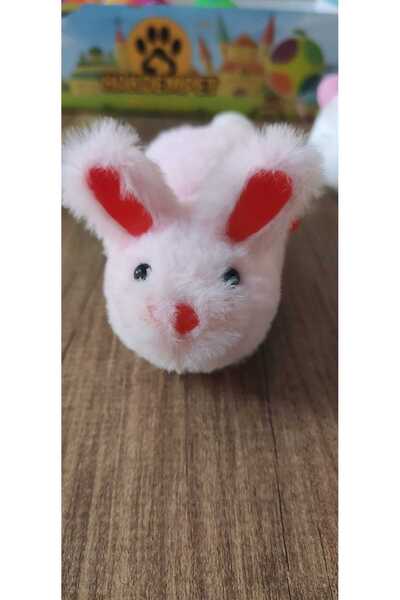 Masal أرنب ملابس القطط