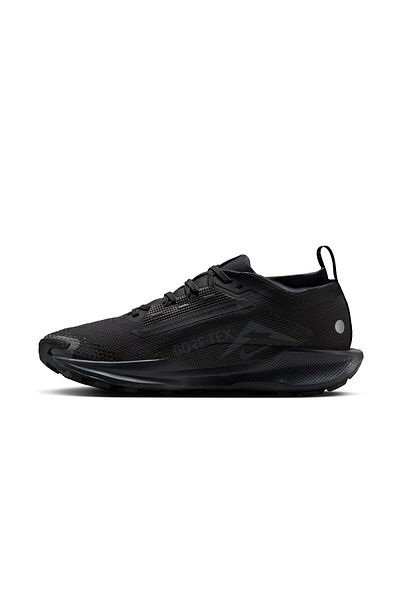 Nike Pegasus Trail 5 Gore-Tex