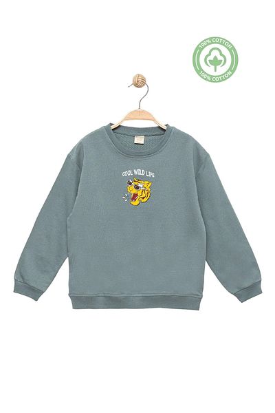 Divonette Boy's Cotton Printed Green Sweatshirt - Comfortable and Cool