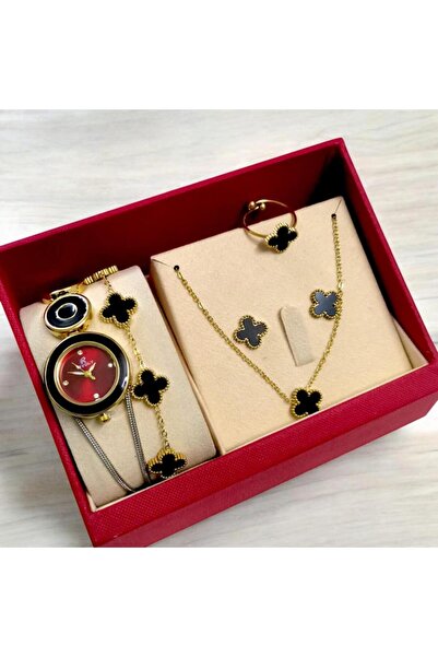 Rivoly Elegant women's steel set, consisting of a water-resistant watch