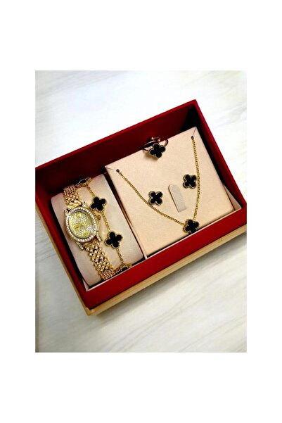 Rivoly Elegant women's steel set, consisting of a water-resistant watch