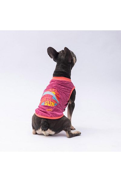 Pawstar Vişnerengi the Sun Cat Dog T-Shirt - Cat Dog Apparel