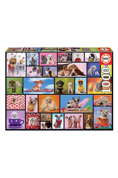EDUCA Puzzle 1000 Pieces Shared Moment 15518