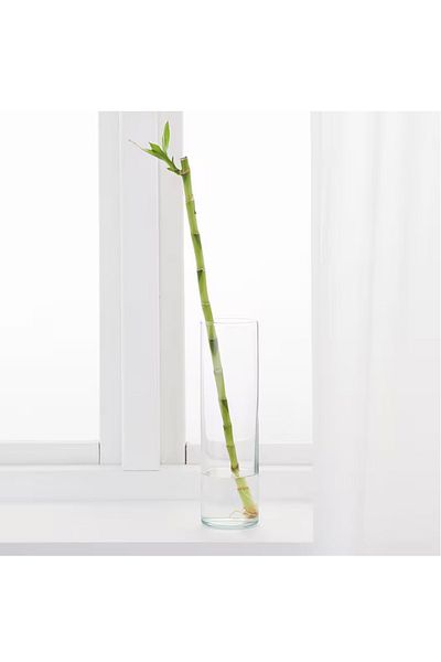 IKEA Natural bamboo plant 45 cm