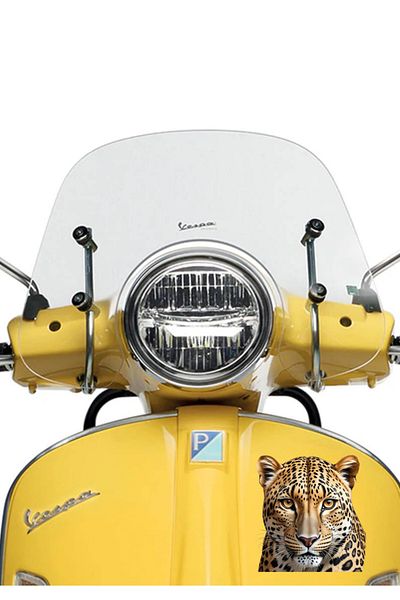 MegaSticker Autocolant față leopard Auto, Motocicletă, Cască, Laptop, Autocolant pentru geam 13x12 Cm