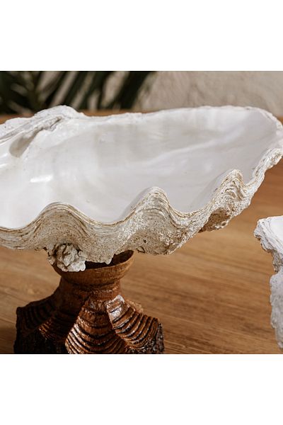 Mudo Concept Shell Decorative Bowl White 52X33X31Cm