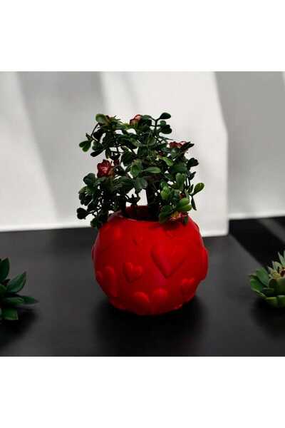 Umul Store Dekoratif Kırmızı Kalpli Vazo