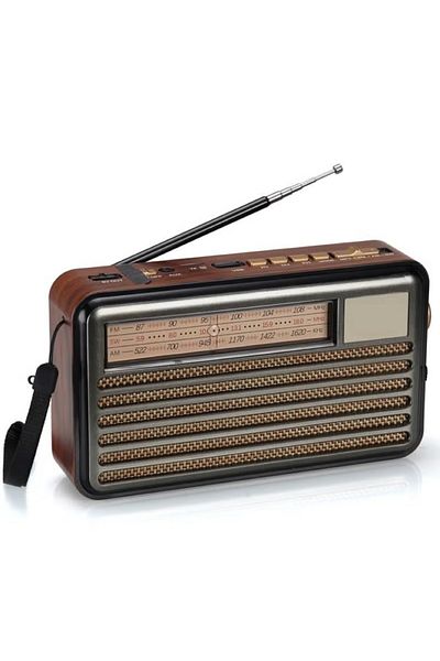 Denx راديو هاي فاي، FM/AM/SW، مشغل USB/TF/BT، بطارية قابلة لإعادة الشحن DX2437