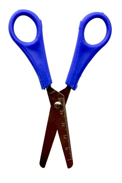BEESTAR Paper Scissors with Ruler & 13 Cm-Navy Blue