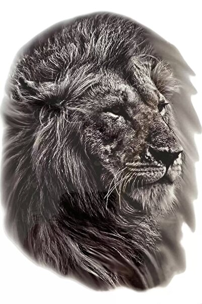 TakıDolabı Geçici Aslan Figürlü Dövme Tattoo