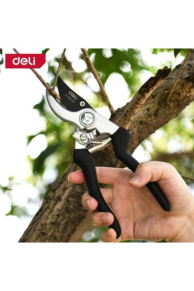 Deli Gardening Shear, 8.5-Inch Size