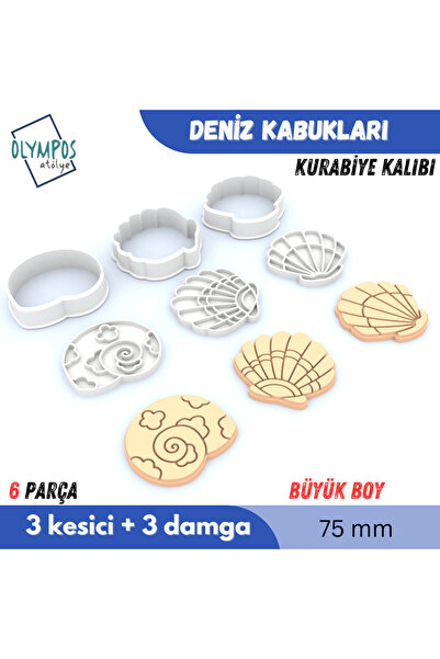 Olympos Atölye Deniz Kabukları | Büyük Boy | 75mm | 6 Parça | Kurabiye - Şeke...