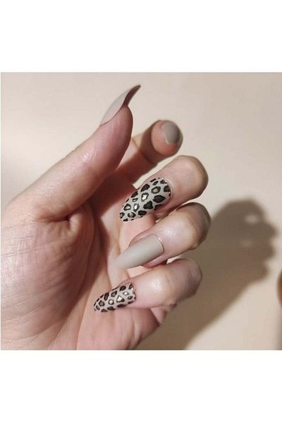 TECHNIC Set 24 unghii false, cu adeziv inclus, Technic, False Nails, Stiletto, Wild Thing