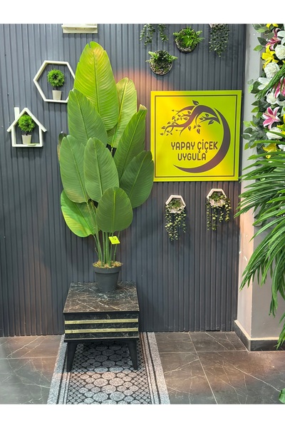 İremÇiçekçilik Yapay Çiçek Uygula Yapay Ağaç Salon Çiçeği Starlice 160 Cm 10 Yaprak