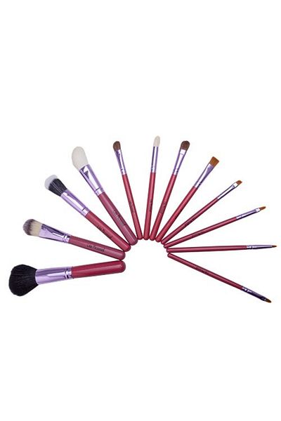 Makeup Set of 12 Lila Rossa brushes, Pink, Storage case