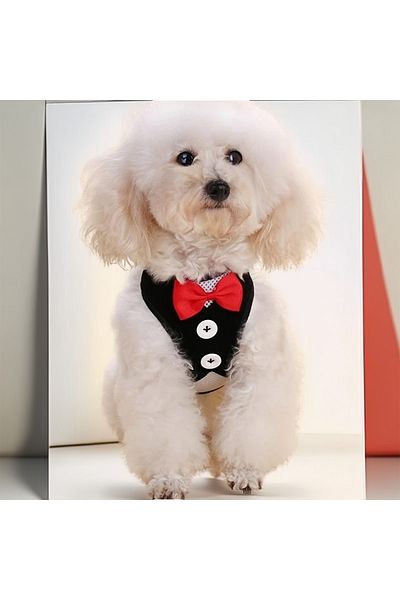 Lady Fify Black Sleeveless Tuxedo with 120cm Strap for Cat and Dog