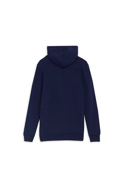 Puma Essentials Small Logo Men's Hooded Sweatshirt
