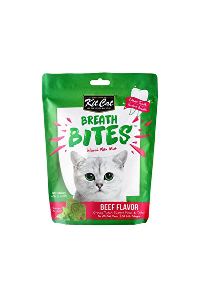 Kit Cat كيت كات بريث بايتس بنكهة السلمون - 60 غرام