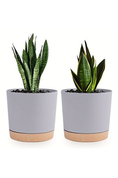 Choice Grey 2pcs 2pcs 6.5inch Flowerpot Removable Bottom Round Flower Pot Det...