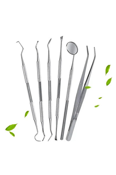 Choice 6PCs Stainless Steel Dentist Oral Tools Cleaning Flossing Tartar Remov...