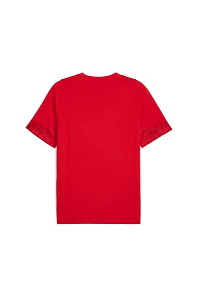 Puma Teamcup Training Jersey Men's Football T-Shirt 65916701   Red