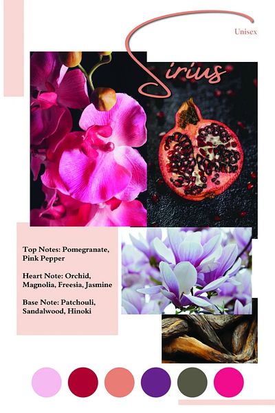 Frederic Patric Parfum Sirius by Patric, apa de parfum 100 ml, femei
