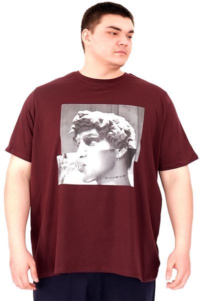 ModeXL Ανδρικό μπλουζάκι Mode XL με λαιμόκοψη και STATUE U25027 Plum