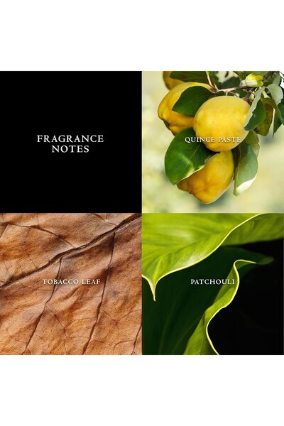 John Varvatos USA John Varvatos Vintage Perfume for Men Eau De Toilette 125ML