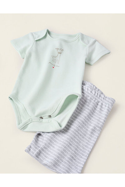 Ziddy Bodysuit + Cotton Shorts for Baby Boys 'Giraffes', Grey/Green
