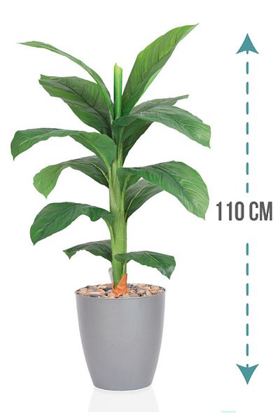 Generic Small banana leaf tree in a plastic container