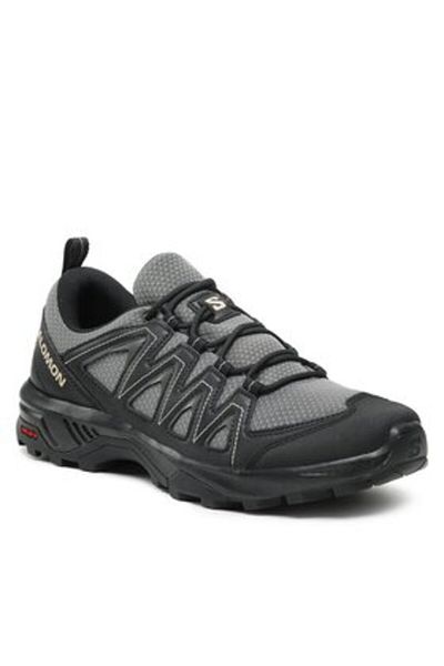 Salomon men's trekking L47180000 gray