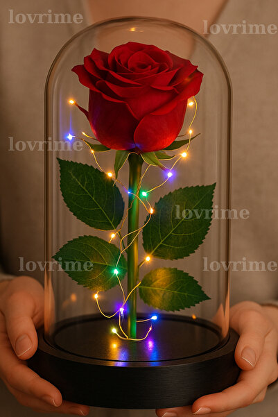 lovrime Ledli Kırmızı Gül Işıklı Mika Cam Fanus