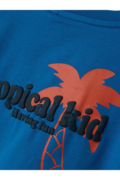 name ıt Nmmfenne Nreg Ss Top