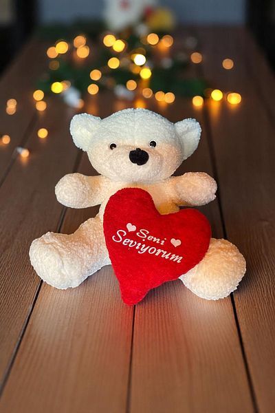 Canestar Special Heart for Lover I Love You Plush Teddy Bear - Soft Plush Bear