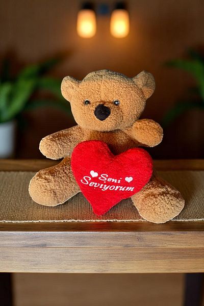 Canestar Special Heart for Lover I Love You Plush Teddy Bear - Soft Plush Bear