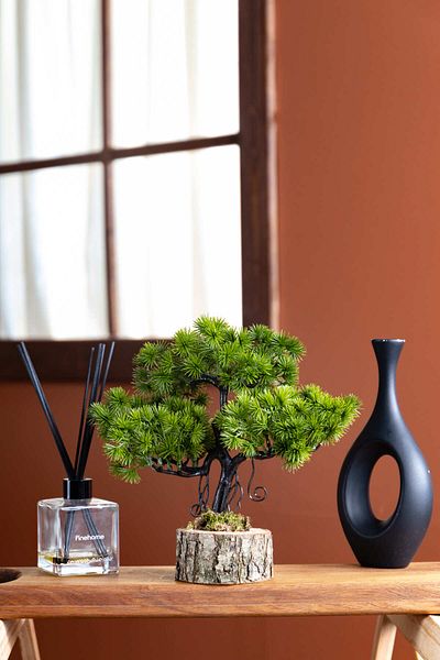 FH finehome Μίνι Σκουλήκια σε γλάστρα Juniperus Log