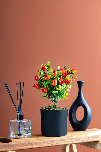 FH finehome Punica Μονόκλαδο Ρόδι σε Μαύρη Γλάστρα