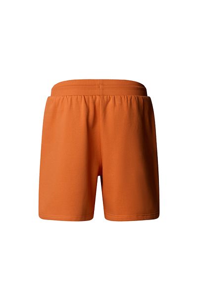 THE NORTH FACE Brown Men's Shorts the North Face m Box Nse Regular Short