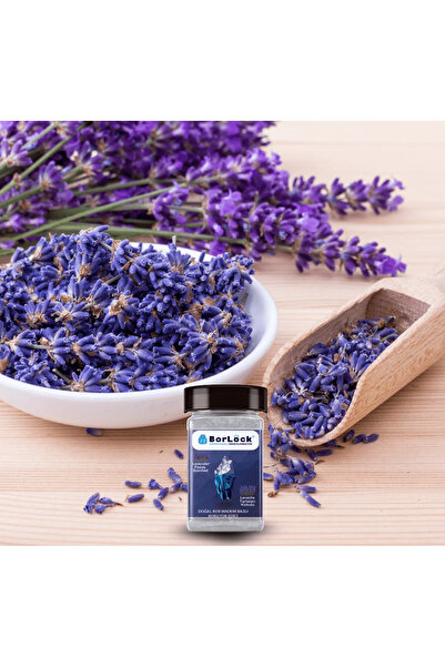 Borlock Lavanta Tarlaları Kokulu Koku Giderici 175 gr