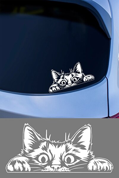 MIGNATIS Bagajdan Bakan Kedi Oto Araba Cam Sticker Çıkartma Bilgisayarlar,kam...